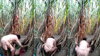 Scandalous Indian Village Bhabhi Outdoor Fucking - A Shocking Desi MMS