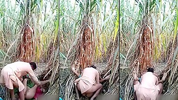 Scandalous Indian Village Bhabhi Outdoor Fucking - A Shocking Desi MMS