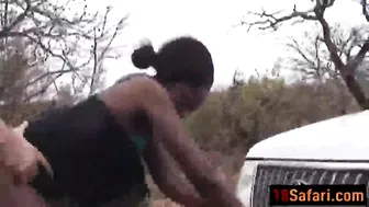 Perfect looking African babe gets fucked somewhere in Safari Perfect looking African babe gets fucked somewhere in Safari