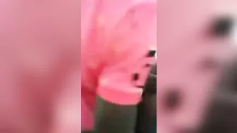 Shameless African Couple Banging On a Sidewalk In Public