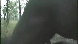 Native Girls Go Crazy For Sex Under Hot African Sun