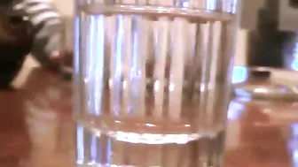 Fucking Wasted Amateur Party Gone Wild: Drunk Fuckfest