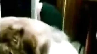 Drunk White Trash Bitch Can't Even Fucking Stand Up