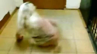 Drunk Bitch Can't Even Fucking Remember Her Own Name