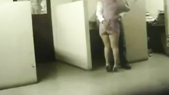 Sultry MILF Gets Caught by Hubby's Hidden cam with Co-worker's Hot Sex