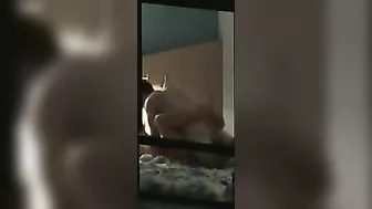 Peeping Tom's Delight - Steamy Couple Action through the Window