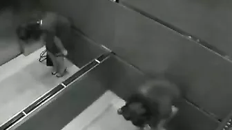 Sexy Encounter in an Elevator - Hidden Cam!