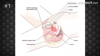 Sex education lesson of bald dude and petite girl in bathroom Sex education lesson of bald dude and petite girl in bathroom