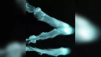 Busty babe Aletta Ocean poses in sexy lingerie and sucks a dick