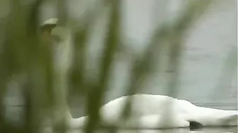 Uncle From Hell - BDSM, Spanking, Rough, Crying - 100% Excitement!