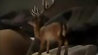 Spanking Teen Scene in The Last Case of Dr Freud