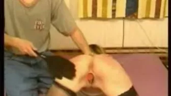 Spanking Fantasy, Fetish, Dildo, Sextoys - Spanking Video