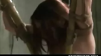 BDSM Video - Bound and Whipped for Your Pleasure