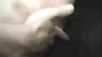 Busty Blonde Cheerleader Groped on Public Bus