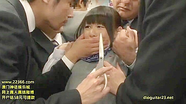 Sexual Assault on Schoolgirls in Public Buses by Perpetrators in Japan