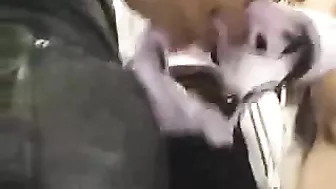 Sexy Asian Girl Groped on Train with Big Boobs