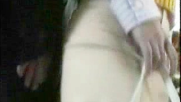 Mature Japanese Woman Groped on Public Transit