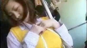 Mature Japanese Woman Groped on Public Transit