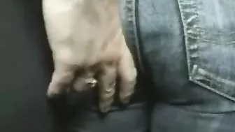 Grope In Bus - Brunette Sleeping While Being Groped on Public Transportation