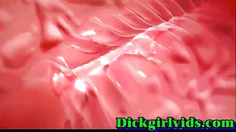 Hardcore Shemale Fucking in Cute Anime Toon