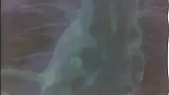 Hentai Cutie Blowjobs and Fucks, Anime Bondage Toon