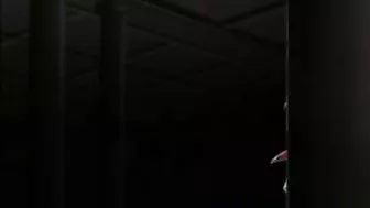 Hardcore Fucking of Cute Anime Shemales in Hentai Porn