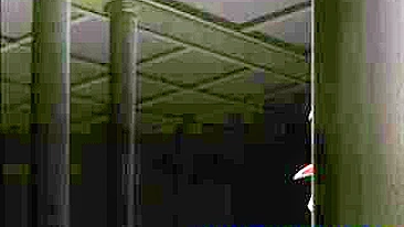 Hardcore Fucking of Cute Anime Shemales in Hentai Porn