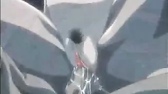 Anime Porn Video: Big Boobs Blowjob and Hardcore Fucking