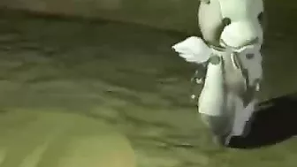 3D Shemale Hentai Handjob by Anime