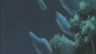 [Cute hentai guy blowjobs hard cock, hentai, anime, cartoon, gay, sex, porn, freeporn]