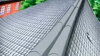 Anime Fuck By Tentacles And Shemale - Caught In The Act!