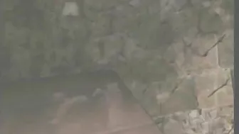 Bad Girls' 3D Animation Threesome Sex - 3dporn Bad Girls' 3D Animation Threesome Sex - 3dporn