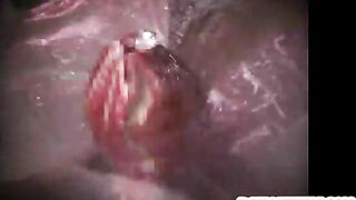 Red Monster Fucks Anime Porn - 3D Porn Comic