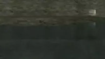 Elf Lesbians Kiss and Have Hentai Sex Elf Lesbians Kiss and Have Hentai Sex