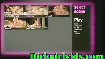 Big Boobs Hentai Shemale Lady Deep Fucked in Anime Toon