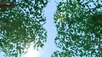 Outdoor Shemale Sucking 3D Anime Porn