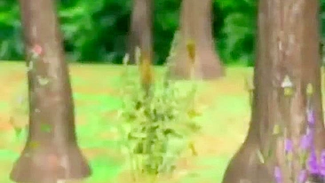 Outdoor Shemale Sucking 3D Anime Porn