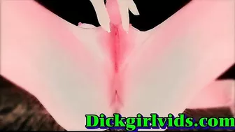 Hardcore Fucking Action with Naughty Shemales in Hentai Anime and Toon Porn