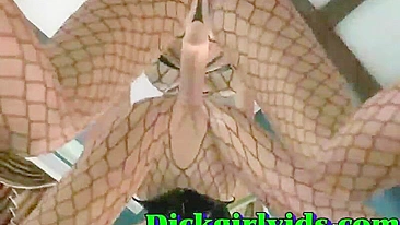 Indoor Shemale Fucking - Anime Hentai Toon Porn