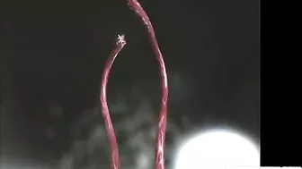 Monster Tentacles and Big Cock Take Down 3D Anime in Wild Orgy Monster Tentacles and Big Cock Take Down 3D Anime in Wild Orgy