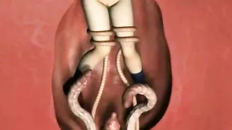 Cute Girl Gets Hard Fucked by Tentacles in 3D Animation.