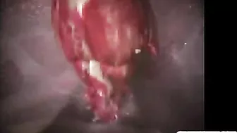 3D Hentai Monster Fucks Hard