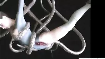 3D Hentai Monster Fucks Hard