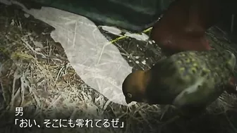 Chained 3d Animated Hentai Comic Featuring Big Boobs Sucking Monster Cock