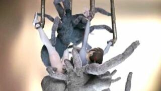 3d Animated Girl Caught and Hard Drilled by Tarantula Monster