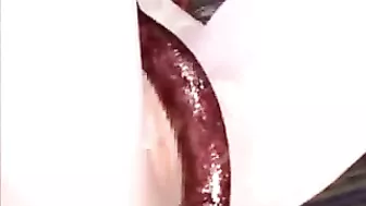 Cute Girl Gets Tentacle Sex in 3D Animation