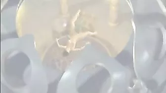 3D Hentai Girl Gets Licked and Fingered While Masturbating, Exploring Her Tight Pussy and Squirting in Anime Style