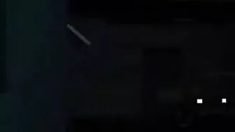 Monkey Trashes Hairy MILF's Dark Head, 3D movie