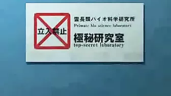 Monkey Trashes Hairy MILF's Dark Head, 3D movie