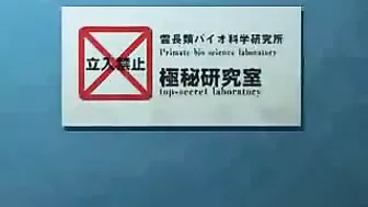 Monkey Trashes Hairy MILF's Dark Head, 3D movie